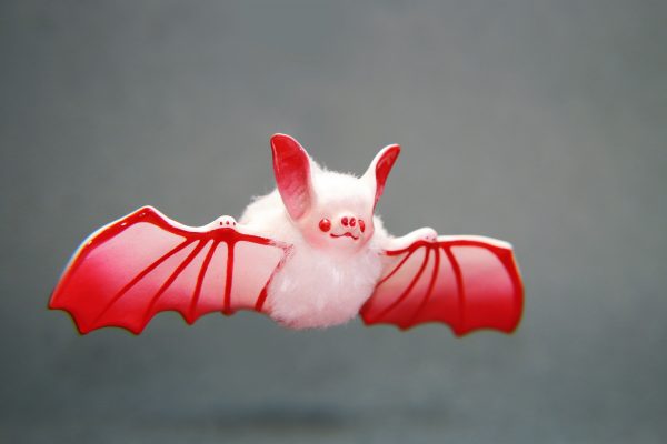 Abbey The Albino Bat