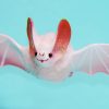 Ellie The Salmon Pink Bat