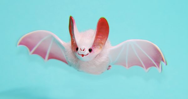 Ellie The Salmon Pink Bat