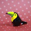 Toco Toucan