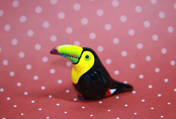 Toco Toucan