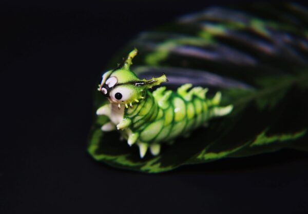 Japanese Emperor Caterpillar Polymer Clay Figurine OOAK