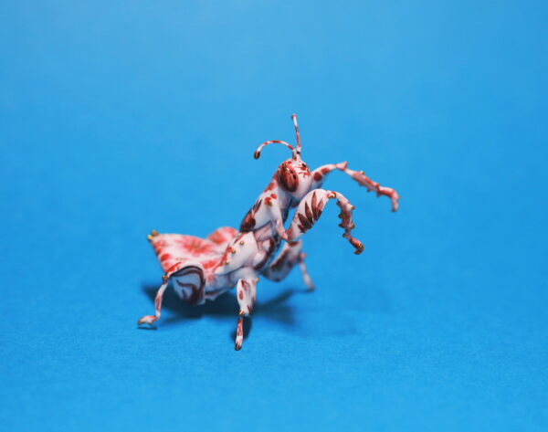 China Mantis Polymer Clay Figurine OOAK