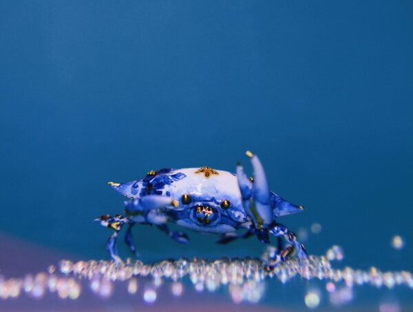 China Blue Crab Polymer Clay Figurine OOAK