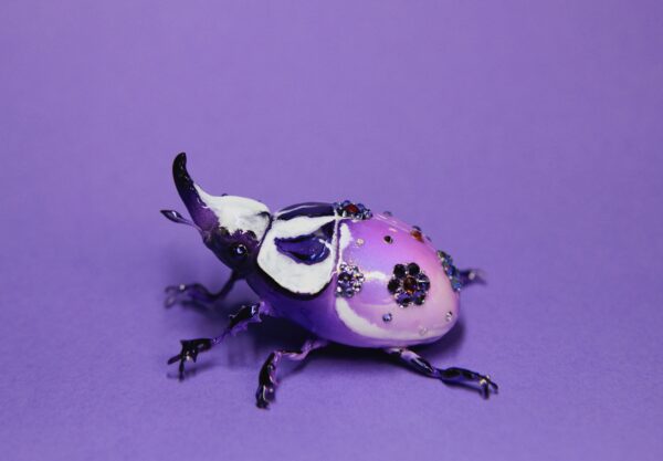Purple Giant Flower Beetle Polymer Clay OOAK Art Piece