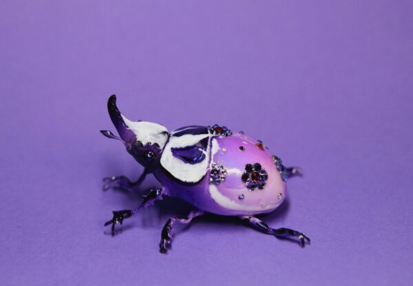 Purple Giant Flower Beetle Polymer Clay OOAK Art Piece