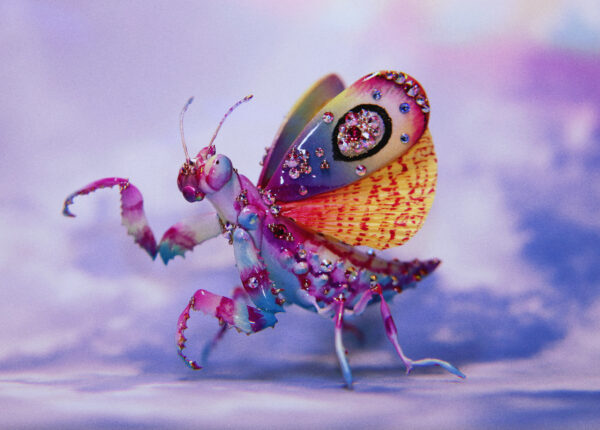 Jeweled Mantis OOAK Art Piece