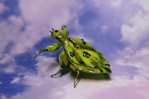 Green Leaf Bug OOAK Art Piece